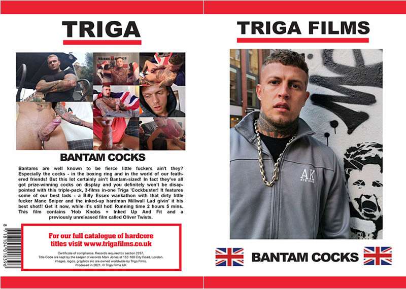 Bantam Cocks