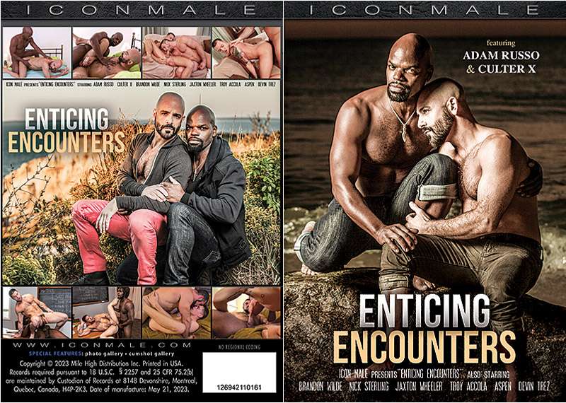 Enticing Encounters 01