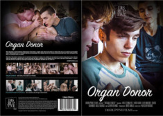 Organ Donor