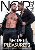 Secret Pleasures 02