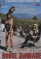 Shaylashouseofbondage Boxart