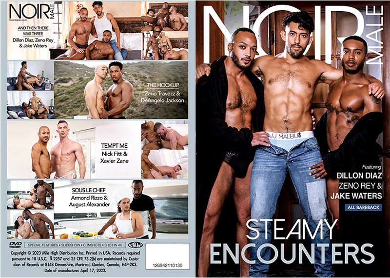 Steamy Encounters 01