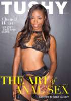 The Art Of Anal Sex 03