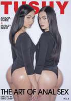 The Art Of Anal Sex 04