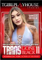 Trans Gone Black 11